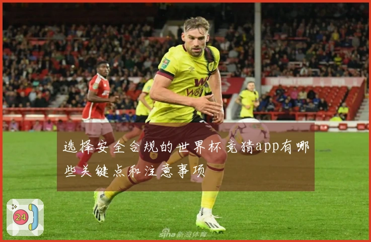 选择安全合规的世界杯竞猜app有哪些关键点和注意事项